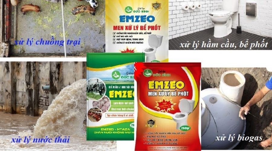 Hướng dẫn dùng men xử lý bể phốt Emzeo hiệu quả cho gia đình