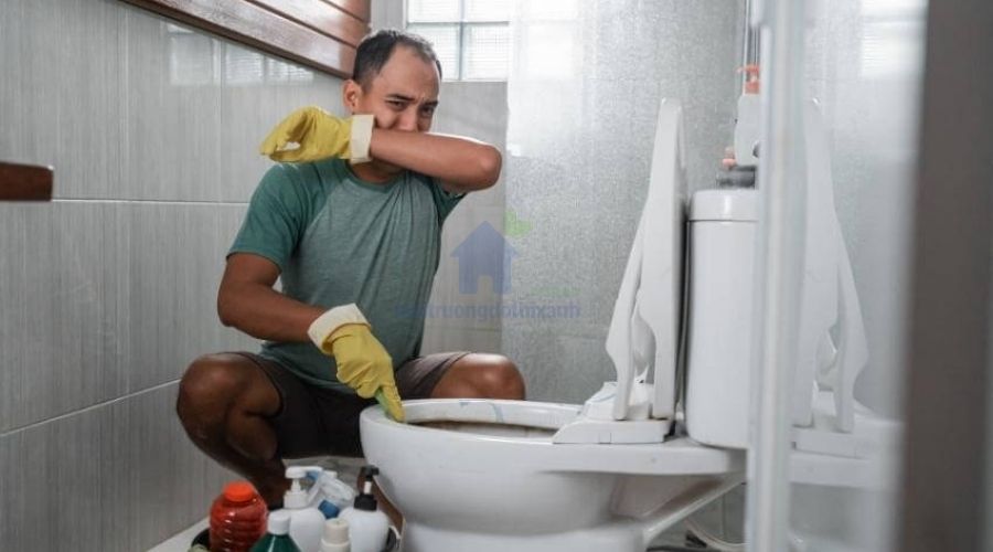 Cách xử lý bồn cầu bị hôi khi xả nước dứt điểm ngay tức thì
