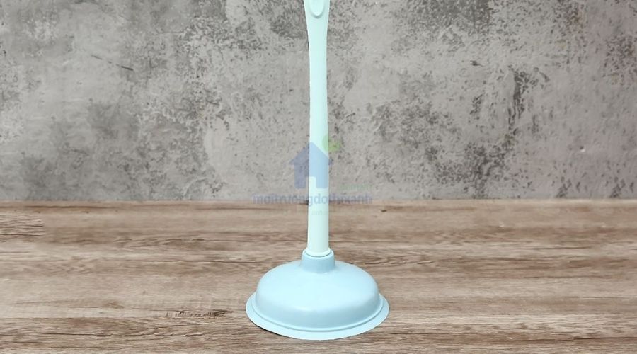 Cây thông bồn cầu giá rẻ chất lượng