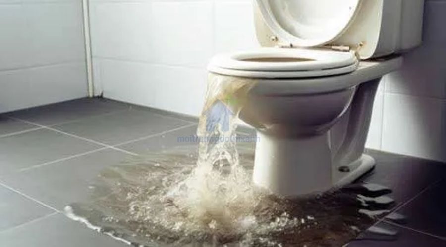 Cách thông bồn cầu không cần dụng cụ