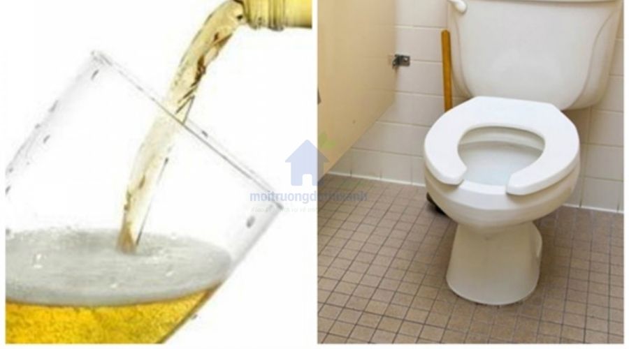 Mẹo thông tắc bồn cầu bằng bia đơn giản