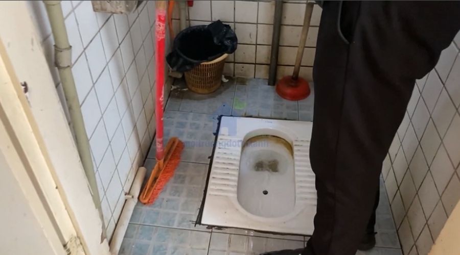 Dụng cụ cây thông bồn cầu hiệu quả